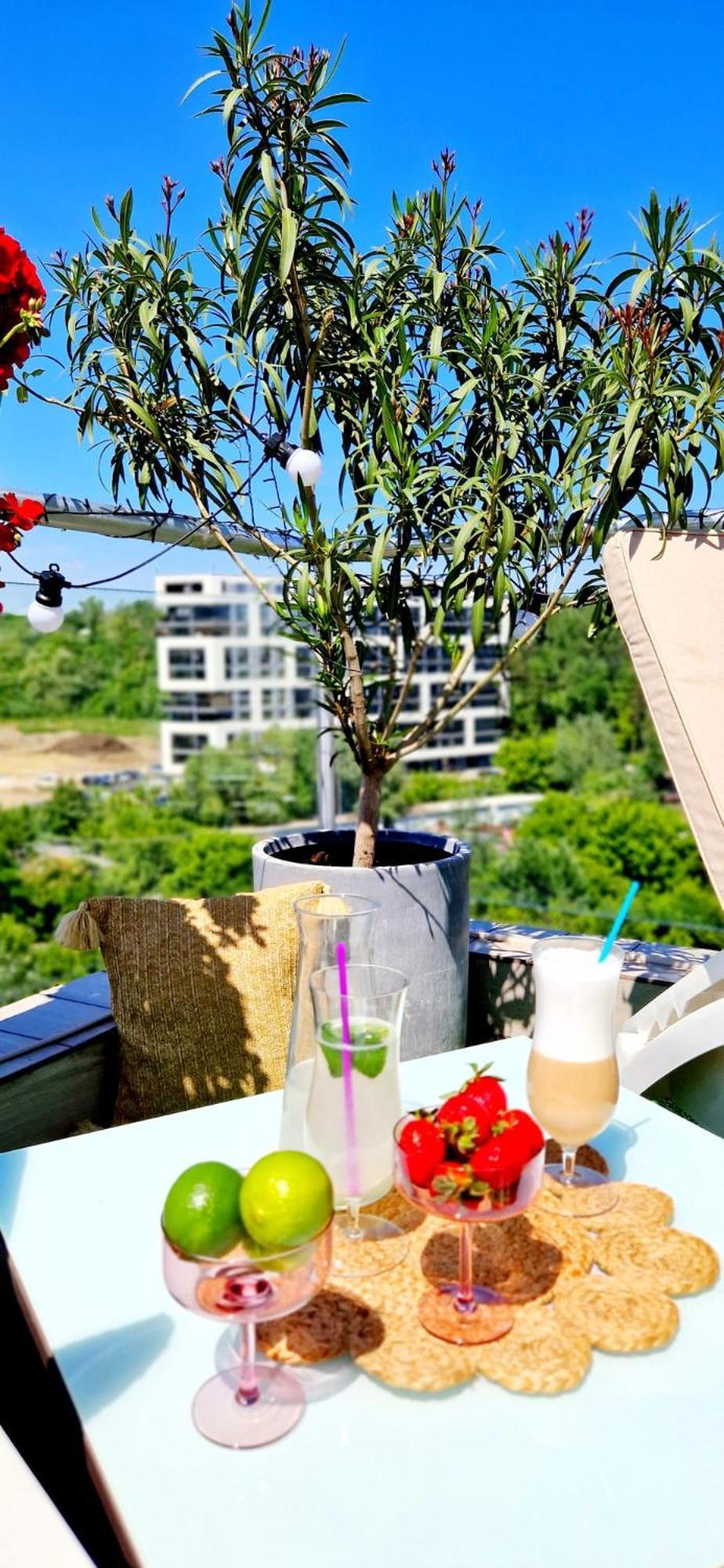 Penthouse Aeroport Iasi Apartman Kültér fotó